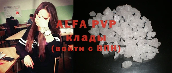 прущие крисы Арсеньев