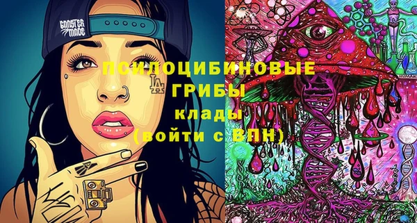 шишки Сосновка