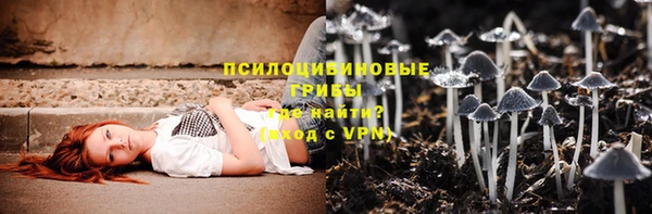 молекула духа Аркадак