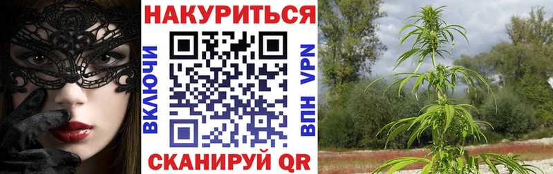Шишки марихуана тримм  как найти   Белово 